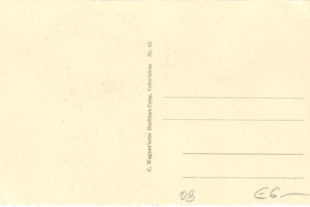 C&CO.™ 0162 - Rewers