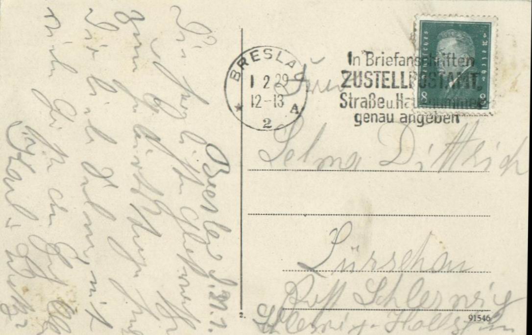 C&CO.™ 0169 - Rewers